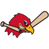 Fargo-Moorhead RedHawks icon