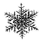 Winter Insiders ikona