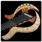 Custom Guitar Designs icon