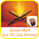 Quran Mp3 by Sheikh Sudais APK