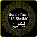 Yaseen Mp3 - 15 Sheikh Offline APK