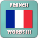 APK Vocabolario francese offline