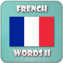APK Corso di francese duolingo