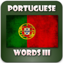 Portuguese offline APK