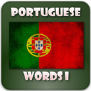 Portuguese dictionary offline APK