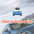 How to Drive a Car-icoon