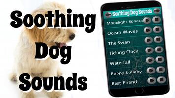 Soothing Dog Sounds پوسٹر