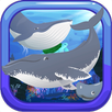 鲸鱼的声音 APK