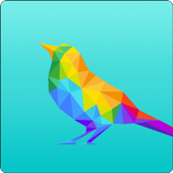 Sons de pássaros selvagens