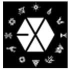 Exo Group icône