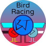 Bird Racing