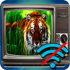 Free TV Offline Prank أيقونة