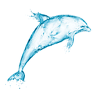 Widgets store: Dolphin Zeichen