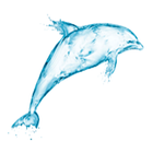 Widgets store: Dolphin 圖標