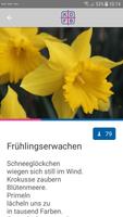 Mein Weg, meine Zeit ภาพหน้าจอ 1