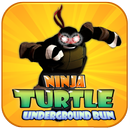 Ninja Turtle Underground run APK