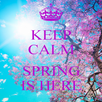 Keep Calm And Girly Girl APK