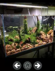 Aquascape Design (offline) APK download