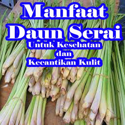 Kehebatan Khasiat Daun Serai Untuk Kesehatan Para Android Apk Baixar
