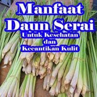 پوستر Kehebatan Khasiat Daun Serai Untuk Kesehatan