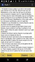 Yoruba Bible / BIBELI MIMỌ скриншот 3