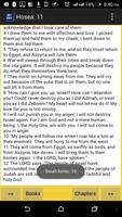 Modern King James / MKJV Bible постер