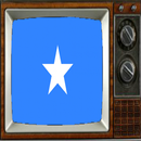 Satellite Somalia Info TV APK