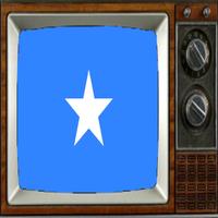 Satellite Somalia Info TV 海报