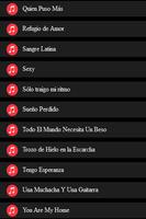 CHAYANNE LETRAS Screenshot 2