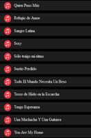 CHAYANNE LETRAS 截图 2