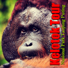 Kelotok Tours Tanjung Puting أيقونة