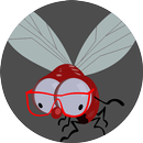 Fly Spy APK