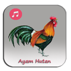 Ayam Ketawa Hutan icono