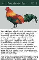 Ayam Ketawa Hutan Screenshot 3