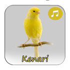 آیکون‌ Burung Kenari Gacor Isian