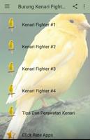 Burung Kenari Fighter Gacor 海報