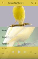 Burung Kenari Fighter Gacor 截图 1