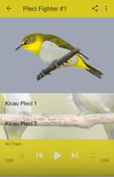 Masteran Isian Burung Pleci 截图 1