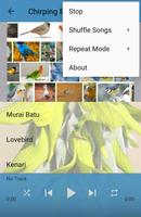 Masteran Isian Burung Kicau Juara Ekran Görüntüsü 2