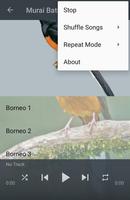 Kicau Murai Batu Borneo screenshot 2