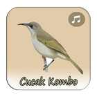 Kicau Cucak Kombo Juara icon