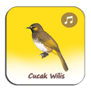 Kicau Cucak Wilis Gacor Juara APK