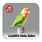 Kicau Lovebird Muka Salem Gacor ikona
