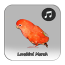 Kicau Lovebird Merah Gacor APK