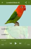 Kicau Lovebird Biola Gacor screenshot 1
