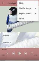 Kicau Lovebird Cobalt Gacor screenshot 3