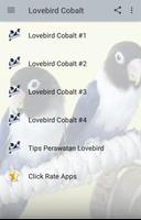 Kicau Lovebird Cobalt Gacor plakat