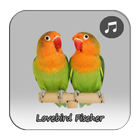 Kicau Lovebird Fischer Gacor icon