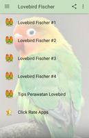 Kicau Lovebird Fischer Gacor poster