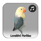 Kicau Lovebird Parblue Gacor icon